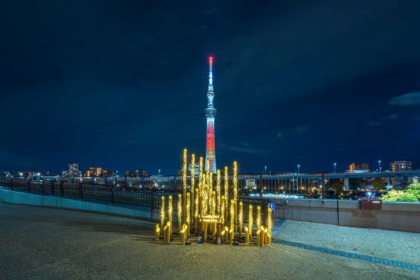 タリーズコーヒー花川戸隅田公園店(2024年)