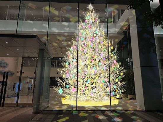 オーロラツリー