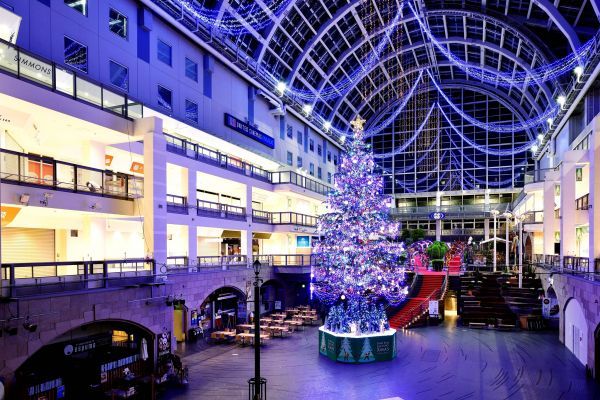 サッポロクリスマスファクトリー イルミネーション