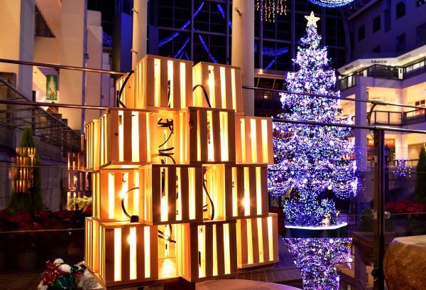 ウッドイルミネーションイメージ