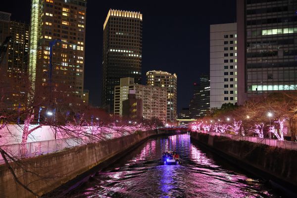 ※イメージ写真