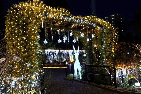 香りのローズガーデンメインゲート