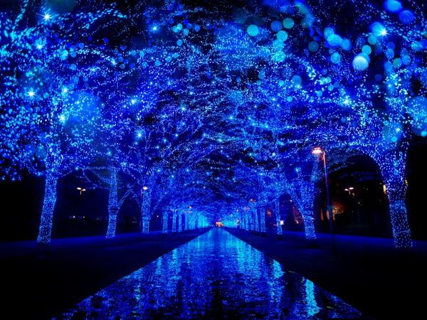 青の洞窟 SHIBUYAイメージ