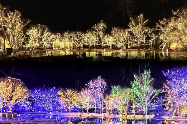 点灯式イメージ