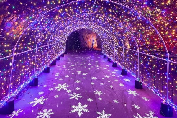 光と雪のアーチイメージ