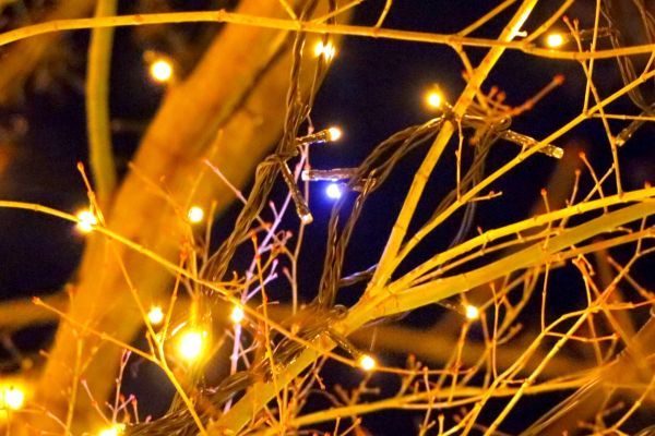 光の宝探しイメージ