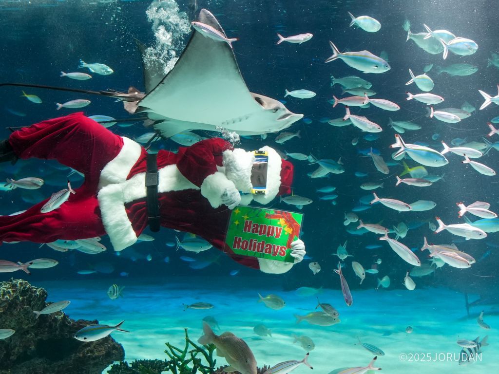 サンタダイバー