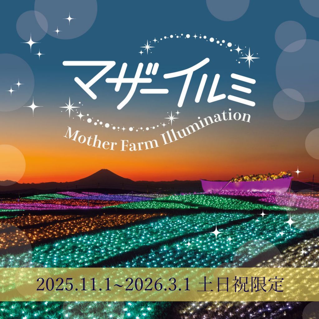 マザー牧場「マザーイルミ」