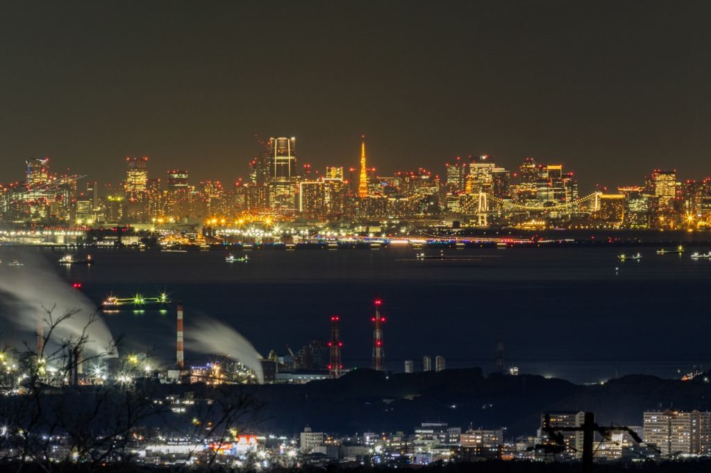 マザー牧場から望む東京の夜景