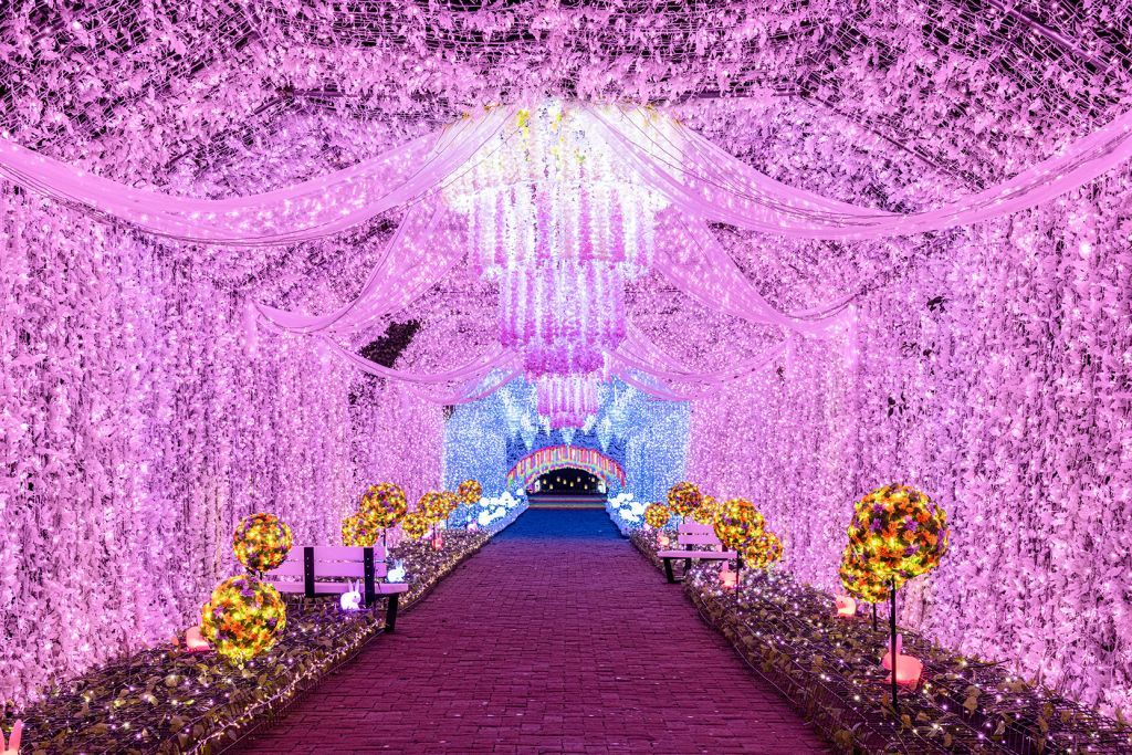 ひかりのすみか