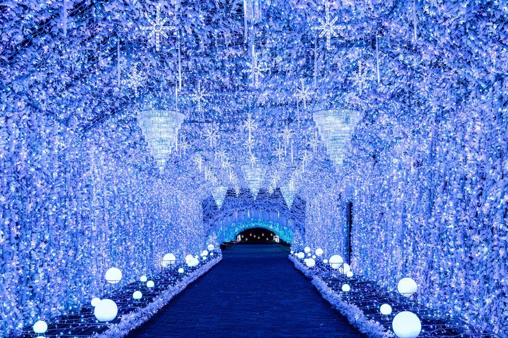 ひかりのすみか2