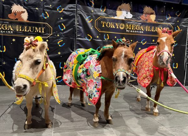 東京メガイルミ2025‐2026「午（うま）年MEGA新春イベント」