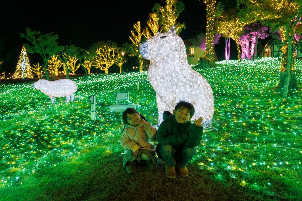 ハーベストの丘