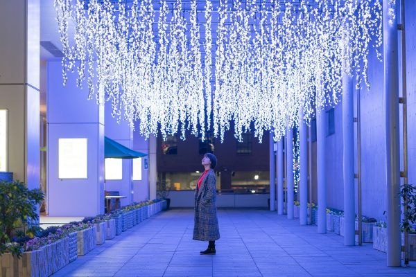 ガラス屋根下のイルミネーション