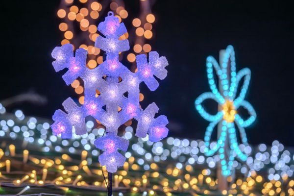 過去、実施写真2