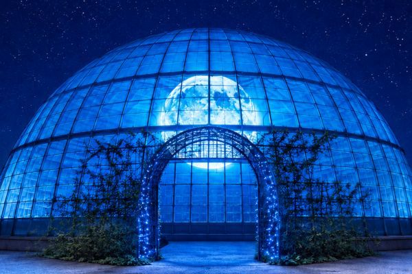 Good Night Dome　イメージ