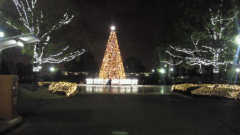 「ナミ」さんからの投稿写真＠STAR★LIGHT REVUE 2013