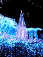 「光に包まれて」さんからの投稿写真＠カレッタ汐留 Caretta Illumination 2018 ～ディズニーMovieNEX プリンセスイルミネーション～