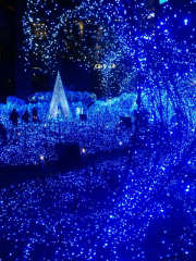 「マリコ*デラックス」さんからの投稿写真＠カレッタ汐留 Caretta Illumination 2018 ～ディズニーMovieNEX プリンセスイルミネーション～