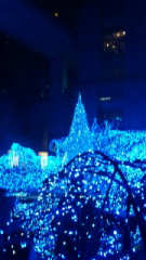 「きね304」さんからの投稿写真＠カレッタ汐留 Caretta Illumination 2018 ～ディズニーMovieNEX プリンセスイルミネーション～