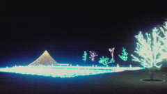 「トシボゥ」さんからの投稿写真＠場所不明