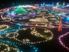 「梅ゴロウ」さんからの投稿写真＠国営昭和記念公園 Winter Vista Illumination 2018