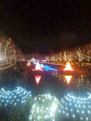 「梅ゴロウ」さんからの投稿写真＠国営昭和記念公園 Winter Vista Illumination 2018