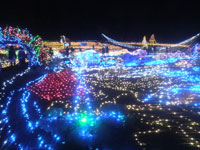 「はっぴぃ」さんからの投稿写真＠国営昭和記念公園 Winter Vista Illumination 2018