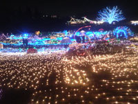「はっぴぃ」さんからの投稿写真＠国営昭和記念公園 Winter Vista Illumination 2018