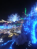 「はっぴぃ」さんからの投稿写真＠国営昭和記念公園 Winter Vista Illumination 2018