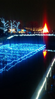 「やーきね」さんからの投稿写真＠国営昭和記念公園 Winter Vista Illumination 2018