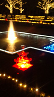 「やーきね」さんからの投稿写真＠国営昭和記念公園 Winter Vista Illumination 2018