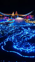 「やーきね」さんからの投稿写真＠国営昭和記念公園 Winter Vista Illumination 2018
