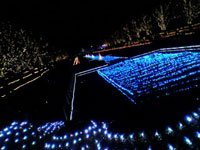 「ぴ」さんからの投稿写真＠国営昭和記念公園 Winter Vista Illumination 2018