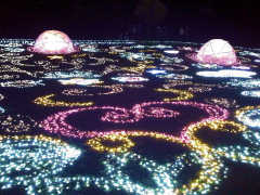 「たむ」さんからの投稿写真＠国営昭和記念公園 Winter Vista Illumination 2018