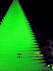 「ナオ」さんからの投稿写真＠国営昭和記念公園 Winter Vista Illumination 2018