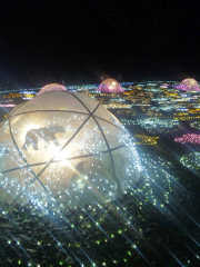 「淑子」さんからの投稿写真＠国営昭和記念公園 Winter Vista Illumination 2018