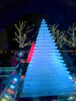 「ままぷー」さんからの投稿写真＠国営昭和記念公園 Winter Vista Illumination 2018