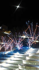 「ともビッキー」さんからの投稿写真＠つくば光の森