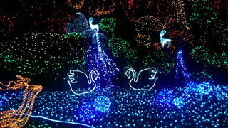 「リンゴちゃん」さんからの投稿写真＠エクステリアマート 東部店（長野）