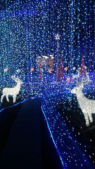 「リンゴちゃん」さんからの投稿写真＠エクステリアマート 東部店（長野）