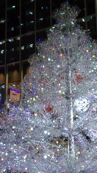 「ぽんちゃん」さんからの投稿写真@紀尾井テラス(東京)