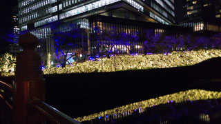 「ぽんちゃん」さんからの投稿写真@紀尾井テラス(東京)