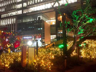 「亀楽-横太郎」さんからの投稿写真＠紀尾井町テラスハウス