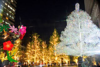 「亀楽-横太郎」さんからの投稿写真＠紀尾井町テラスハウス