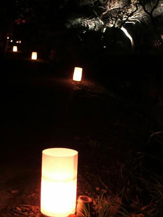 「e☆」さんからの投稿写真＠仙台 秋保 天守閣自然公園もみじライトアップ2016（宮城）