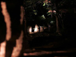 「e☆」さんからの投稿写真＠仙台 秋保 天守閣自然公園もみじライトアップ2016（宮城）