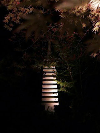 「e☆」さんからの投稿写真＠仙台 秋保 天守閣自然公園もみじライトアップ2016（宮城）