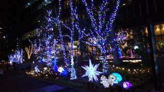 「ぽんちゃん」さんからの投稿写真@みなとみらい大通り(神奈川)