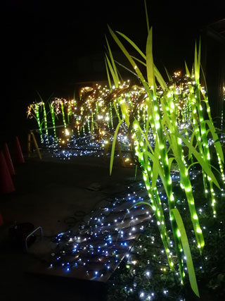 「ゆか」さんからの投稿写真＠かわちイルミネーション（茨城）